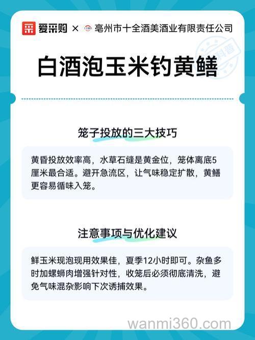白酒泡玉米粒可以直接钓鱼吗?