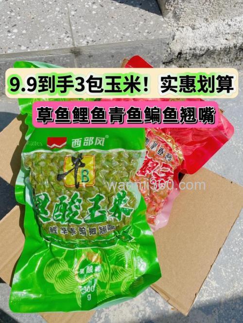 请问发酵玉米适合钓什么鱼