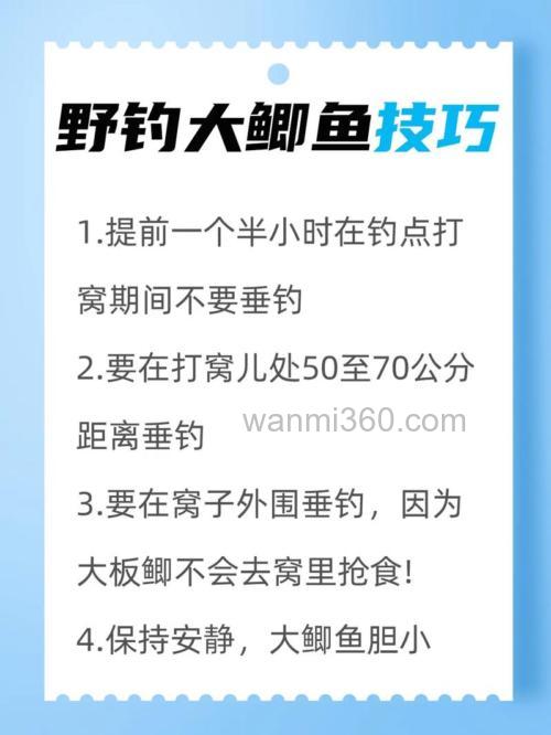 适合春末台钓和野钓鲫鱼的四种技巧