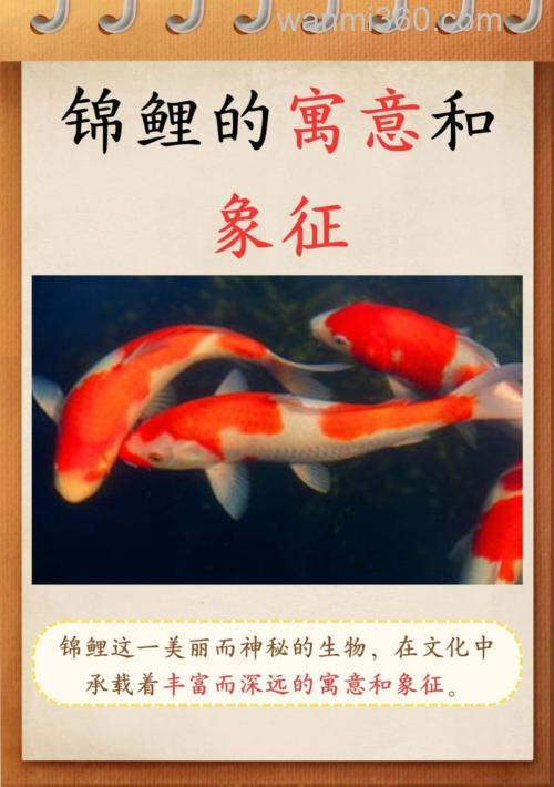 鲤鱼代表什么寓意