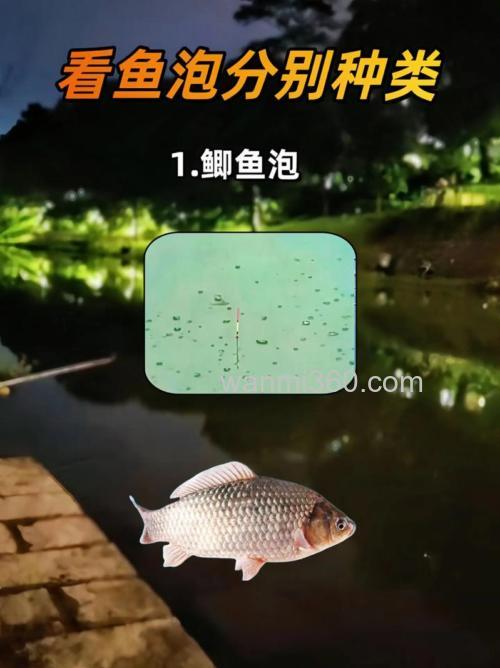 野钓鲫鲤草青鱼泡各不相同,看的懂?