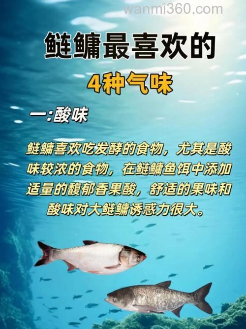 鲢鳙喜欢哪六种口味?