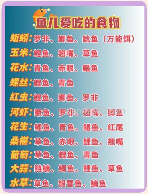 商品饵料为什么钓的都是小鱼？