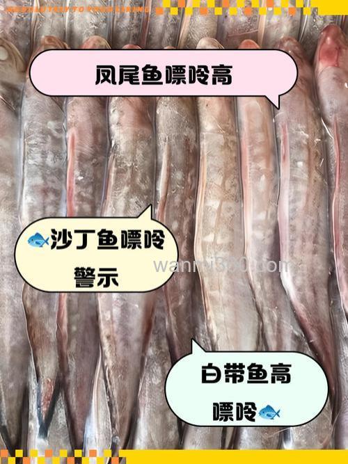 嘌呤高的动物有哪些？