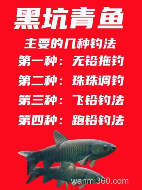 钓青鱼的好方法,每次都能钓到很多青鱼