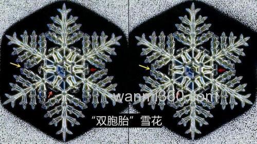 为什么雪花片片不相同?
