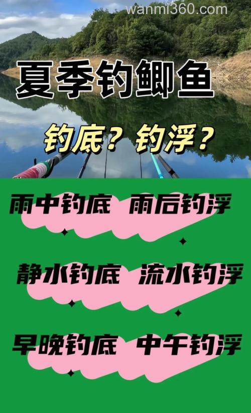 夏天钓鲫鱼钓底还是钓浮
