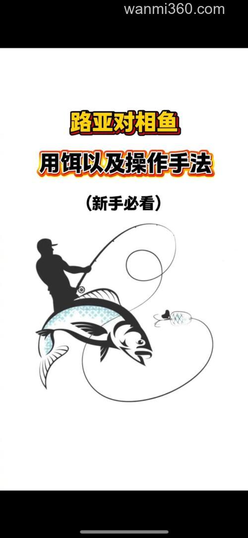 怎样制作的诱饵才能吸引鱼