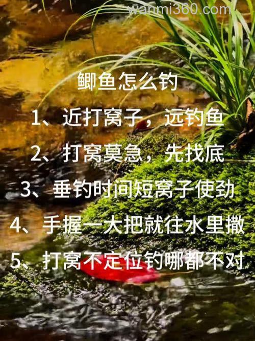 在这5种植物边用台钓法野钓鲫鱼有啥技巧?