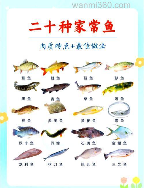 草鱼最爱吃的几种食物