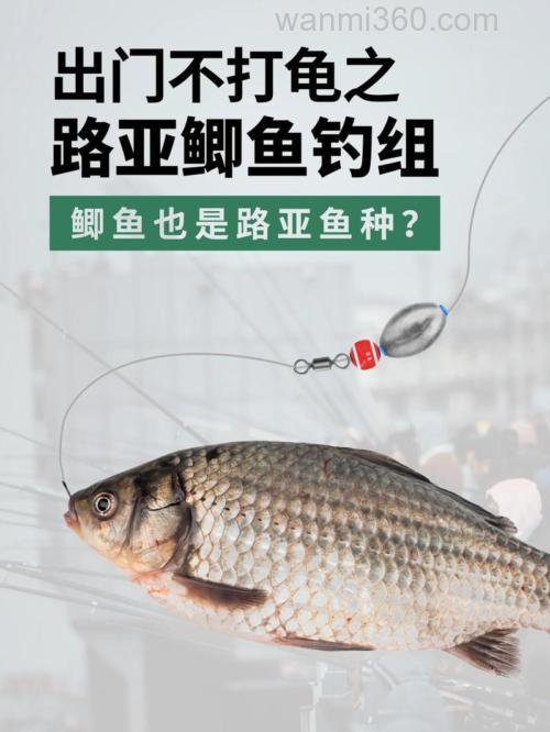 用钓鱼王饵钓鲫鱼,哪些饵开起来最简单?