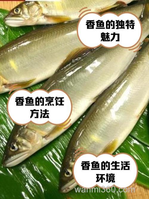 什么叫~~~鱼香味型~~~