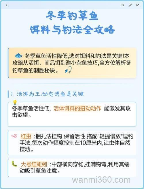 冬天怎么钓草鱼用什么饵