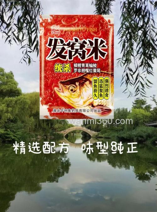 我泡的药米打好窝没有鱼