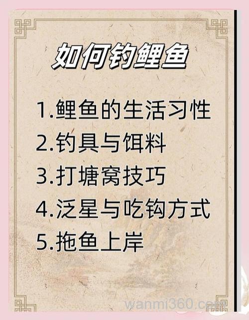 能谈谈钓鲤鱼的技巧吗?