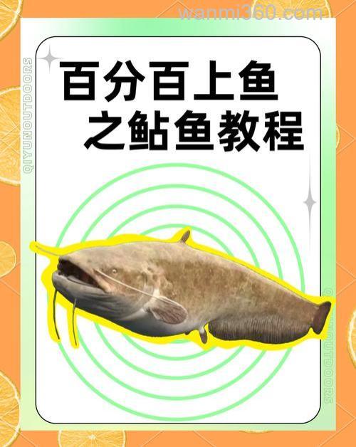 用什么钓鲶鱼