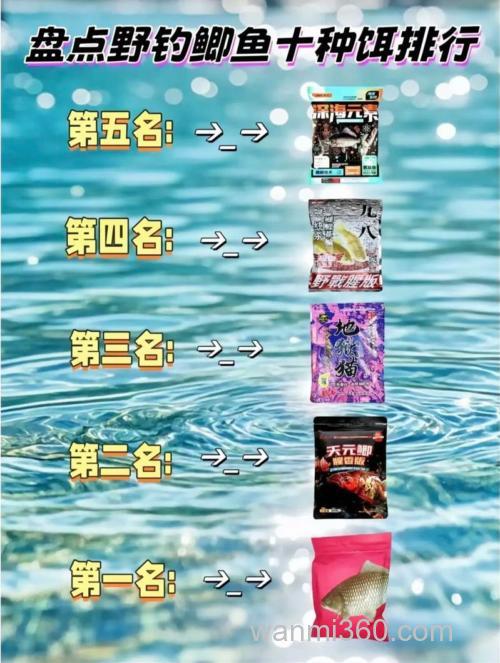 冬季黑坑鲫鱼容易吗,饵料味型选什么
