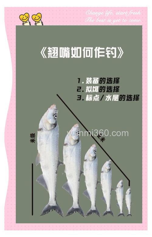 大风大浪天气台钓翘嘴的挑战与技巧,如何选钓位?