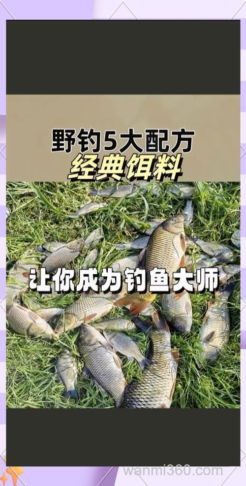 肥水钓鲫用全能腥全能香怎么搭配？