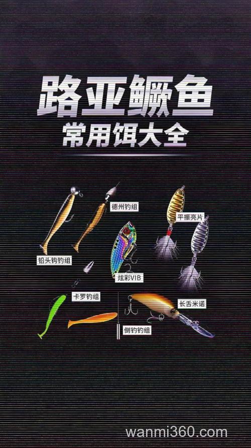 酸菜钓鲇鱼饵料,请教路亚鲶鱼和鳜鱼用什么路亚饵好?