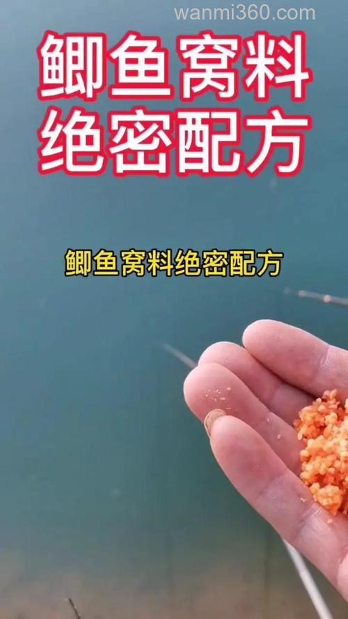 香葱鲫鱼窝料自制配方?