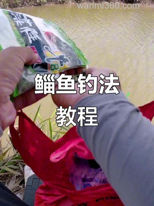 酒糟钓鳊鱼使用方法？