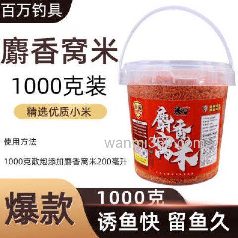 钓什么鱼用麝香小米