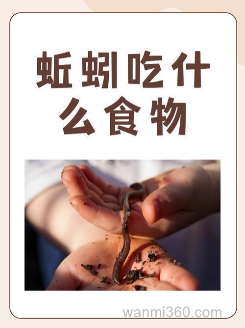 养蚯蚓吃蓝鲫吗？