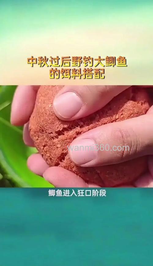 中秋钓鲫鱼用奶香还是麝香？