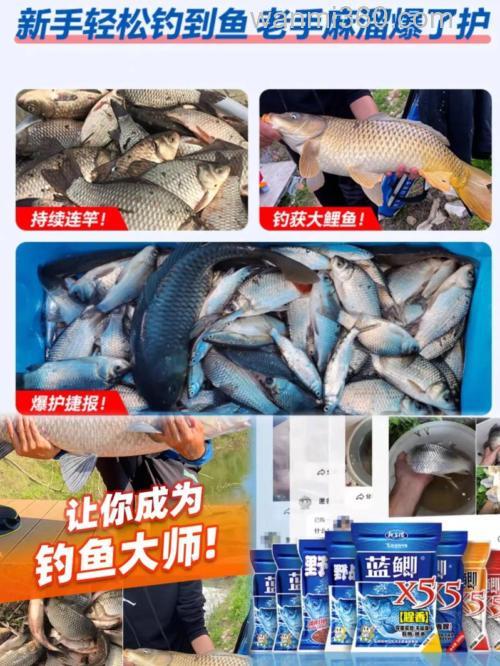 鲫鱼套餐能钓鲤鱼吗？