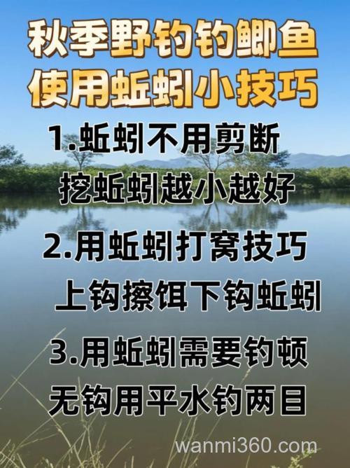 98钓王程宁用蚯蚓怎么野钓鲫鱼