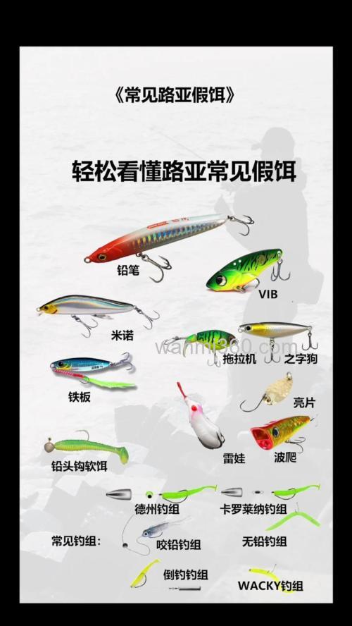 饵是什么意思？