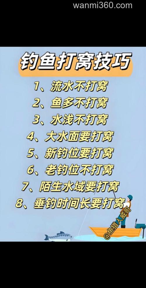 钓鲢鳙怎么打窝