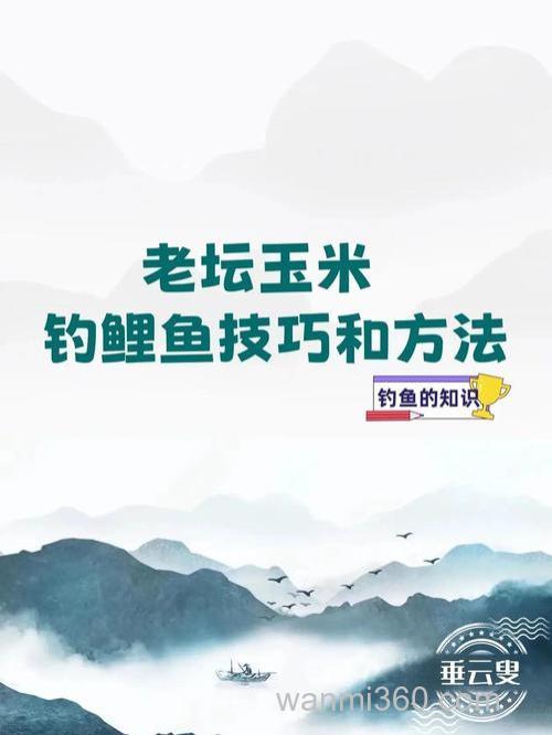 玉米面钓鲤鱼最佳饵料配方?