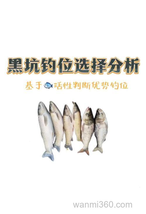 钓黑鱼高手一般不会泄露这些选位秘招