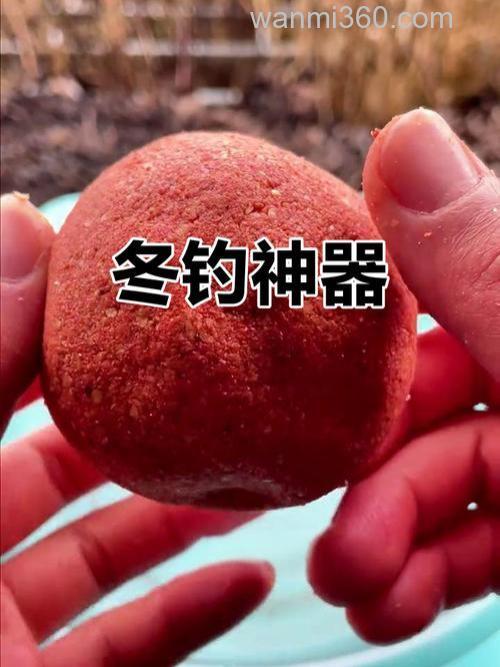 苏州冬季钓鲫鱼用什么饵料不用买