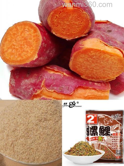 红薯加螺鲤怎么开饵？