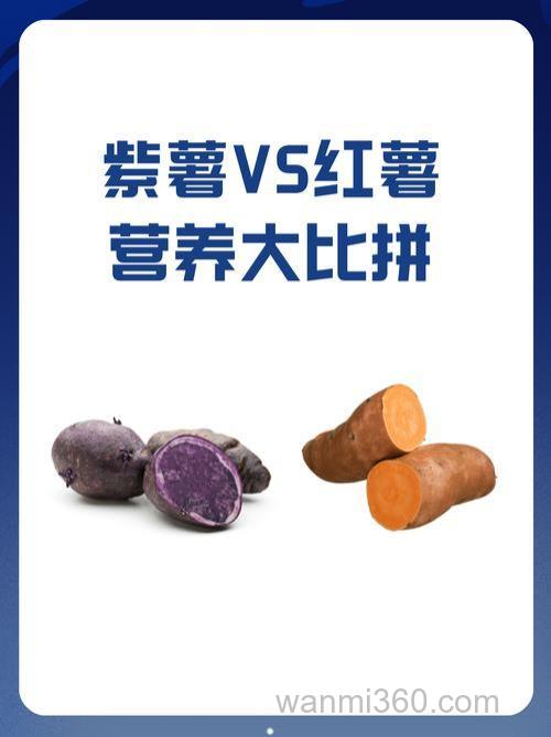 紫薯钓鲫鱼好还是红薯好？