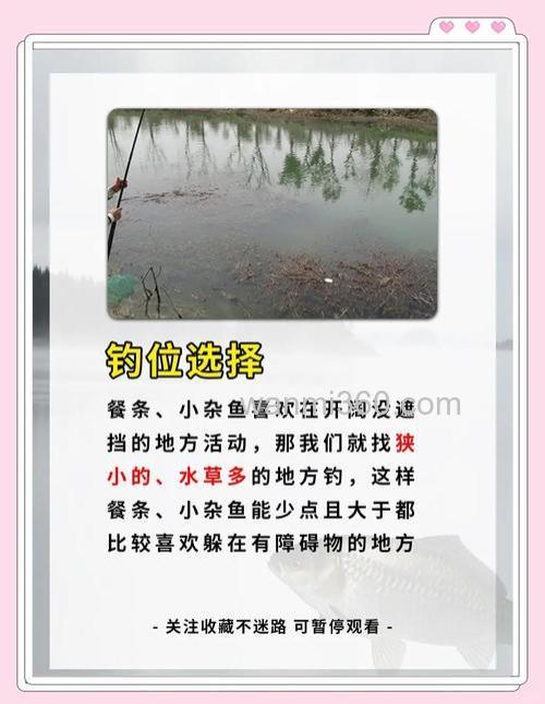 台钓如何避免小鱼闹窝?掌握这些技巧,提升作钓体验