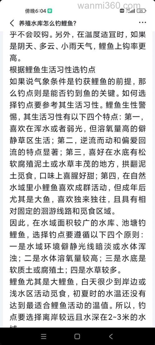 夏天水库怎样钓鲤鱼