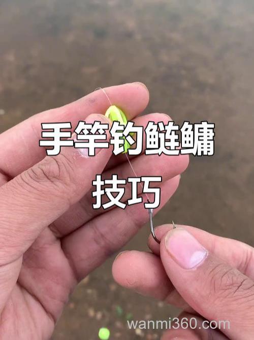 盛夏钓鲢鳙,试试这几招