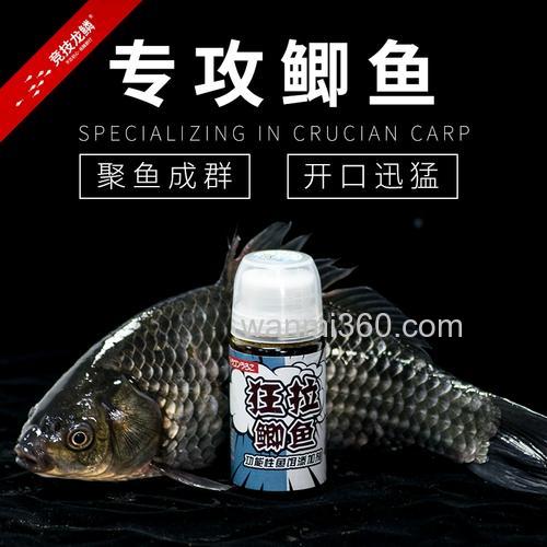 大棚钓鲫鱼用什么小药好,跟什么饵料搭配