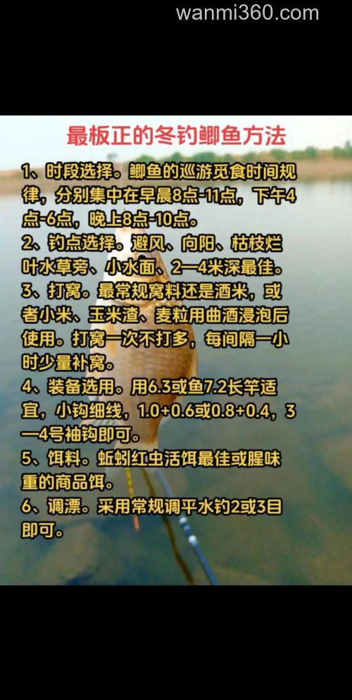 冬鲫杀手入夏钓鲤鱼饵料配方？