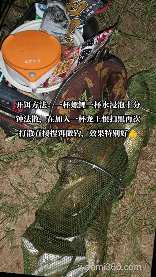 螺鲤跟什么饵料配好?