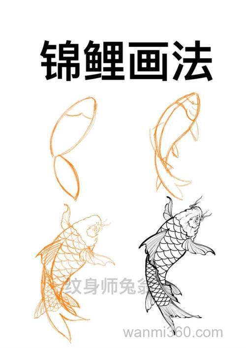 怎么鉴赏锦鲤