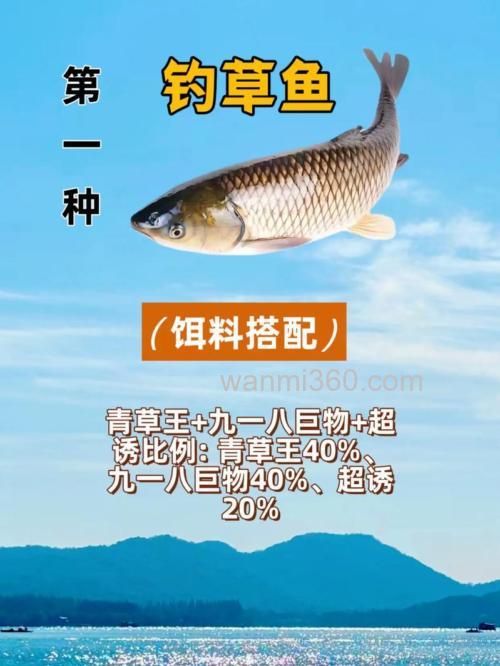 盛夏钓草鱼饵料搭配技巧