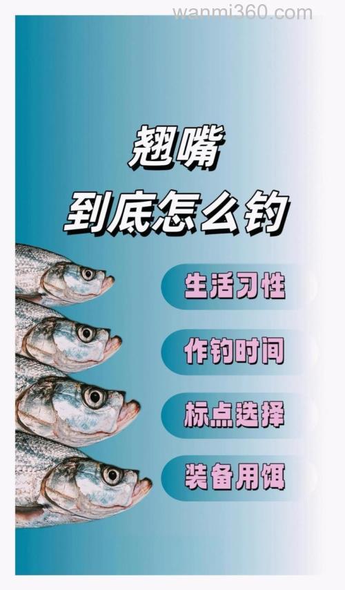 长株潭台钓翘嘴攻略:钓位选择及不同季节时间调整要点