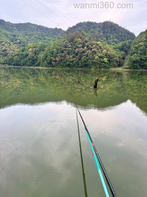 巴南区南湖水库可以钓鱼吗？