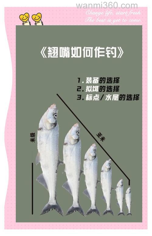 台钓半水用玉米粒钓翘嘴的技巧及选钓位方法,你知道吗?