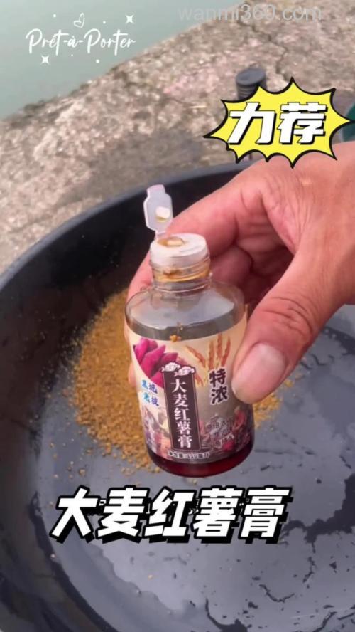 大麦膏钓鲤鱼怎么样？